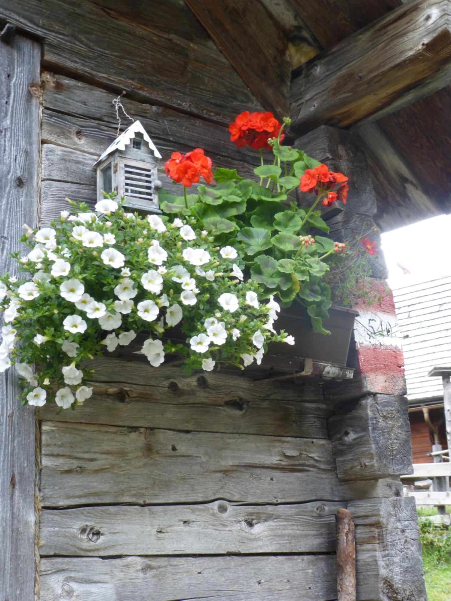 B&B,Bergheimat Oase Irschen Exterior photo